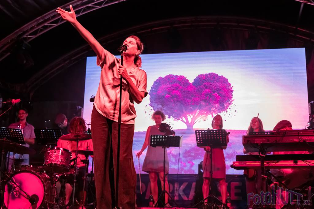 2026-08-01 – Birgit Denk & Band feat. Joe Pinkl and Friends